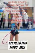 17493_M15-