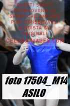 17504_M14-ASILO-