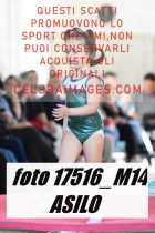 17516_M14-ASILO-