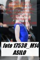 17538_M14-ASILO-