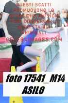 17541_M14-ASILO-