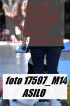17597_M14-ASILO-