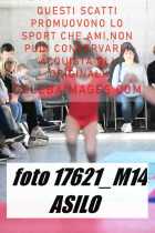 17621_M14-ASILO-