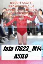 17623_M14-ASILO-