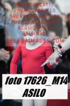 17626_M14-ASILO-