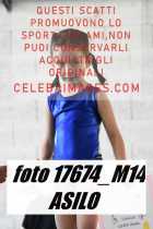 17674_M14-ASILO-