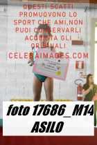 17686_M14-ASILO-