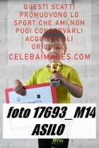 17693_M14-ASILO-