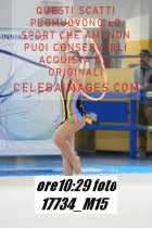 17734_M15-