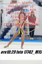 17742_M15-