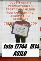 17744_M14-ASILO-