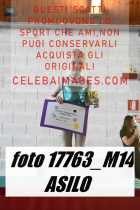 17763_M14-ASILO-