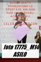 17775_M14-ASILO-