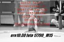 17790_M15-