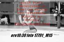17791_M15-