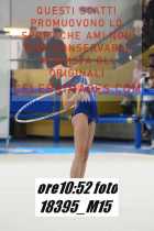 18395_M15-