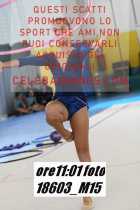 18603_M15-