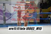 18803_M15-