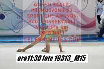 19313_M15-