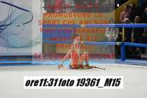 19361_M15-
