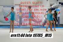 19785_M15-