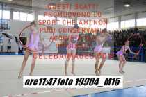 19904_M15-