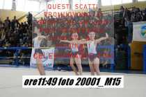 20001_M15-