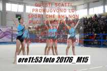 20176_M15-