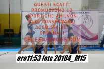 20184_M15-