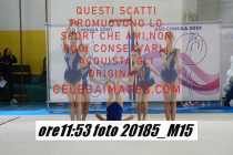 20185_M15-