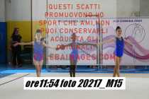 20217_M15-