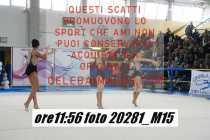 20281_M15-