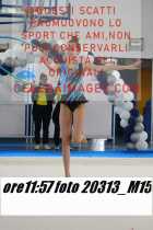 20313_M15-