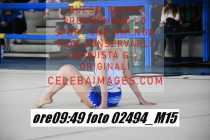 02494_M15