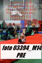 03394_M14-PRE