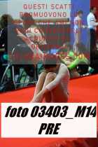 03403_M14-PRE