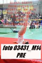 03431_M14-PRE
