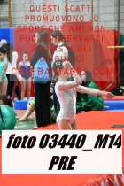 03440_M14-PRE