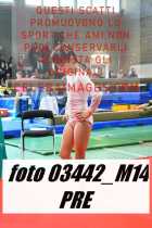 03442_M14-PRE