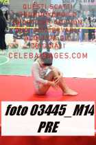 03445_M14-PRE