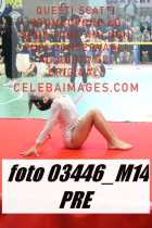 03446_M14-PRE