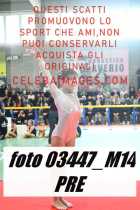 03447_M14-PRE
