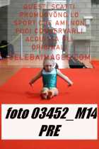 03452_M14-PRE