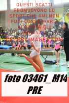 03461_M14-PRE