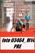 03464_M14-PRE