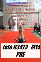 03473_M14-PRE