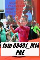 03491_M14-PRE