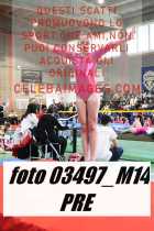 03497_M14-PRE