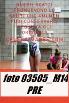 03505_M14-PRE