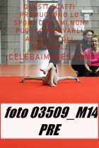 03509_M14-PRE